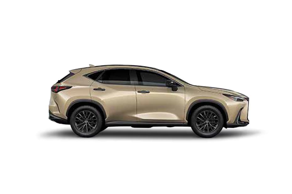Lexus NX in Moon Desert